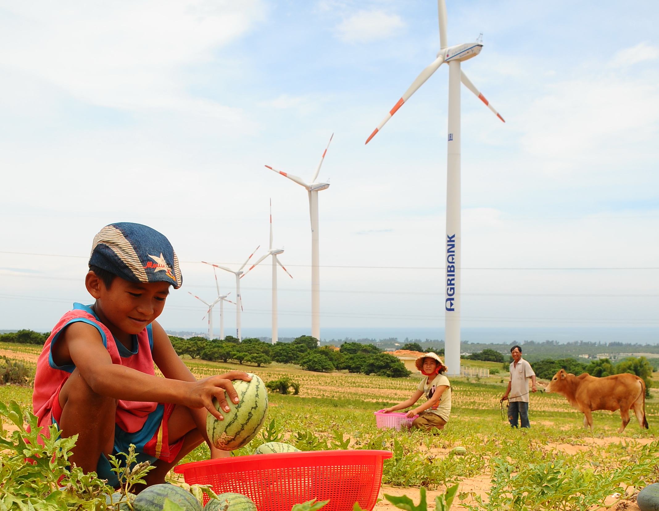 Người nước ngoài khuyên Việt Nam phát triển năng lượng sạch