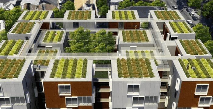 Pháp ban hành đạo luật bắt buộc phủ xanh hoặc lắp pin năng lượng mặt trời cho toàn bộ các mái nhà