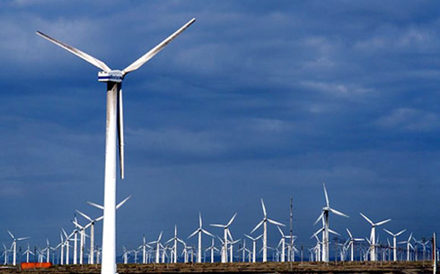 EuroCham: Việt Nam cần chính sách rõ ràng để phát triển điện gió