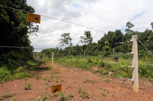 Đồng Nai dựng 50 km hàng rào điện ngăn voi rừng tấn công dân