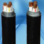 day-cap-dien-3-loi-ac-cxv-3x1851x95-mm-0-6-1kv