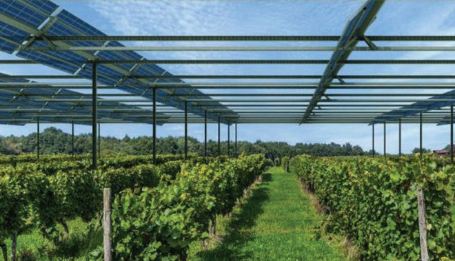 Điện Mặt Trời Kết Hợp Nông Nghiệp: Giải Pháp Tối Ưu